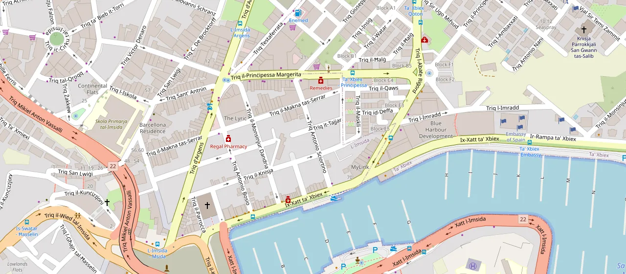 Map of Msida, Malta, with the 110 Analytics office on Triq il-Monsinjur Dandria